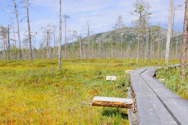 Destination Laponie: Randonnee Pyhatunturi 2013