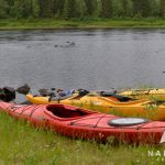 Kayak au bord de Kemijoki