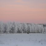 Besoin d’aide pour organiser votre voyage en Laponie?