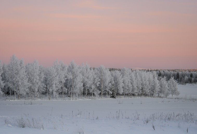 Paysage d'hiver à Pelkosenniemi, Laponie finlandaise. © Photo de Nina Kostamo